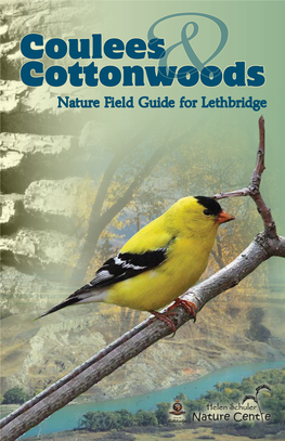 Coulees Cottonwoods& Nature Field Guide for Lethbridge Table of Contents Introduction