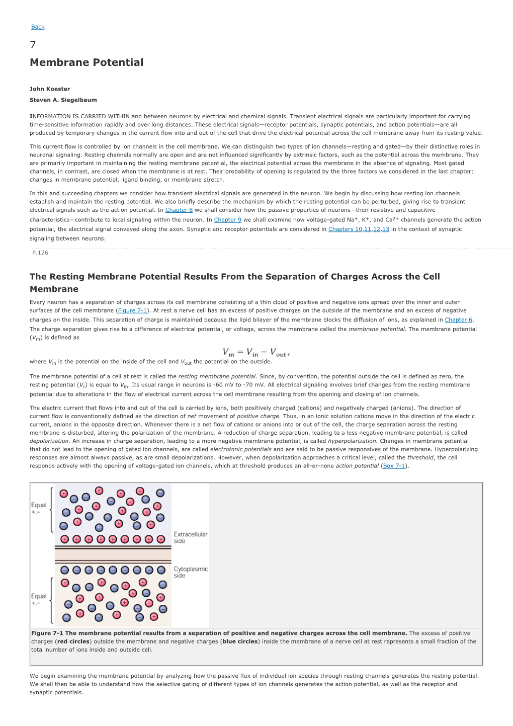 7 Membrane Potential