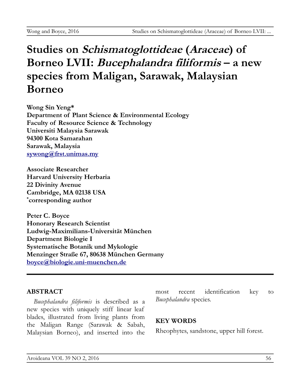 Bucephalandra Filiformis – a New Species from Maligan, Sarawak, Malaysian Borneo