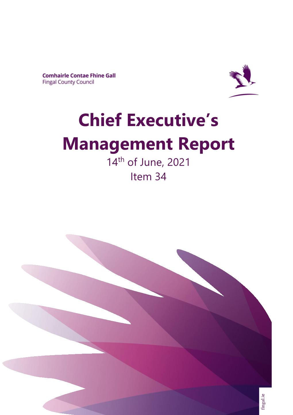 Chief Executive's Management Report