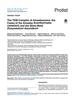 The TOM Complex of Amoebozoans: The
