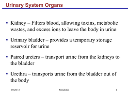 Kidney – Filters Blood, Allowing Toxins, Metabolic Wastes, and Excess Ions to Leave the Body in Urine