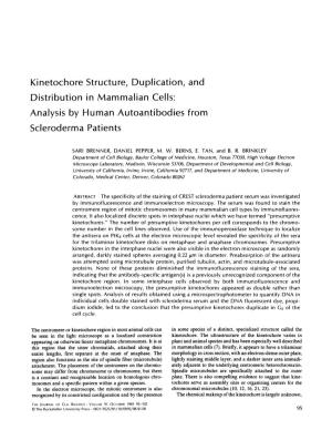 Kinetochore Structure, Duplication, and Distribution in Mammalian Cells : Analysis by Human Autoantibodies from Scleroderma Patients