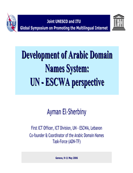 Development of Arabic Domain Names System: UN