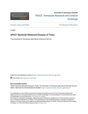 SP631 Bacterial Wetwood Disease of Trees