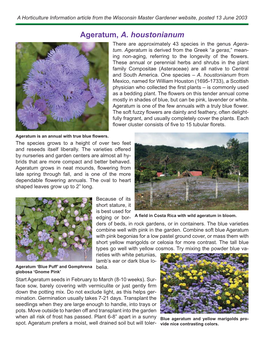 Ageratum, A. Houstonianum There Are Approximately 43 Species in the Genus Agera- Tum