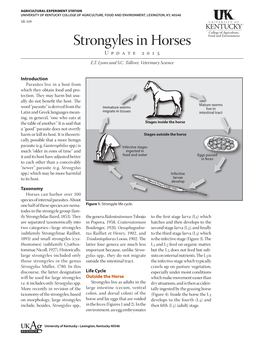 SR-109: Strongyles in Horses