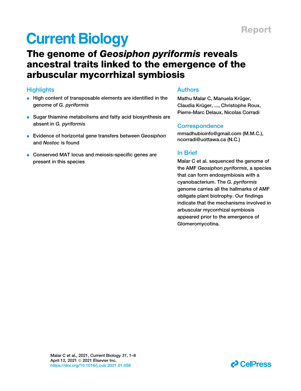 The Genome of Geosiphon Pyriformis Reveals Ancestral Traits Linked to the Emergence of the Arbuscular Mycorrhizal Symbiosis
