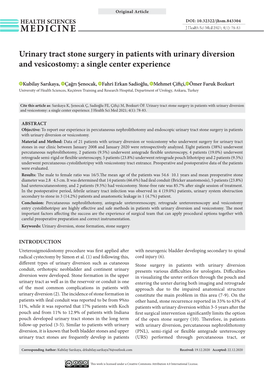 Urinary Tract Stone Surgery in Patients with Urinary Diversion and Vesicostomy: a Single Center Experience