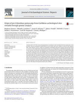 Kimura Et Al. Adna Guinea Pigs Jasreports