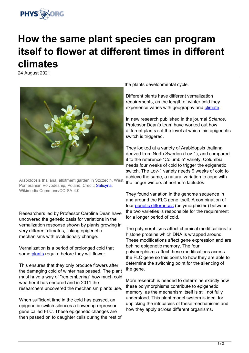 How the Same Plant Species Can Program Itself to Flower at Different Times in Different Climates 24 August 2021