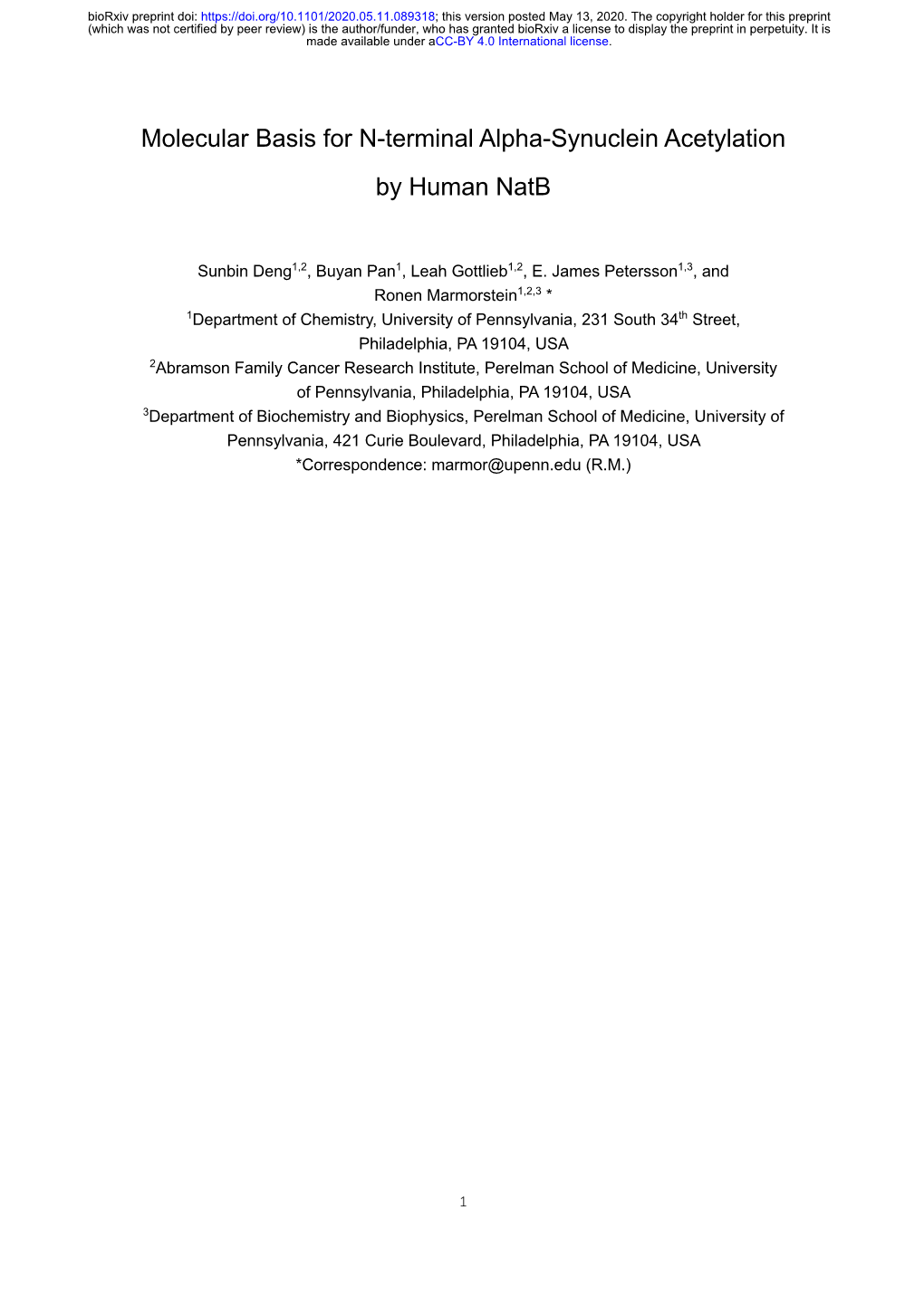 Molecular Basis for N-Terminal Alpha-Synuclein Acetylation by Human Natb