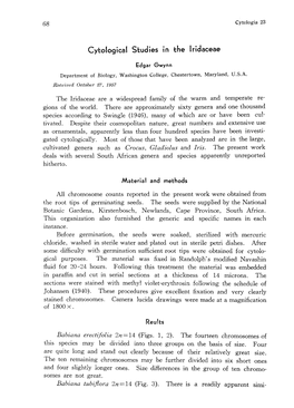 Cytological Studies in the Iridaceae