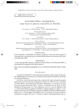 Leucopaxillus Agrippinae, Una Nuova Specie Raccolta in Sicilia