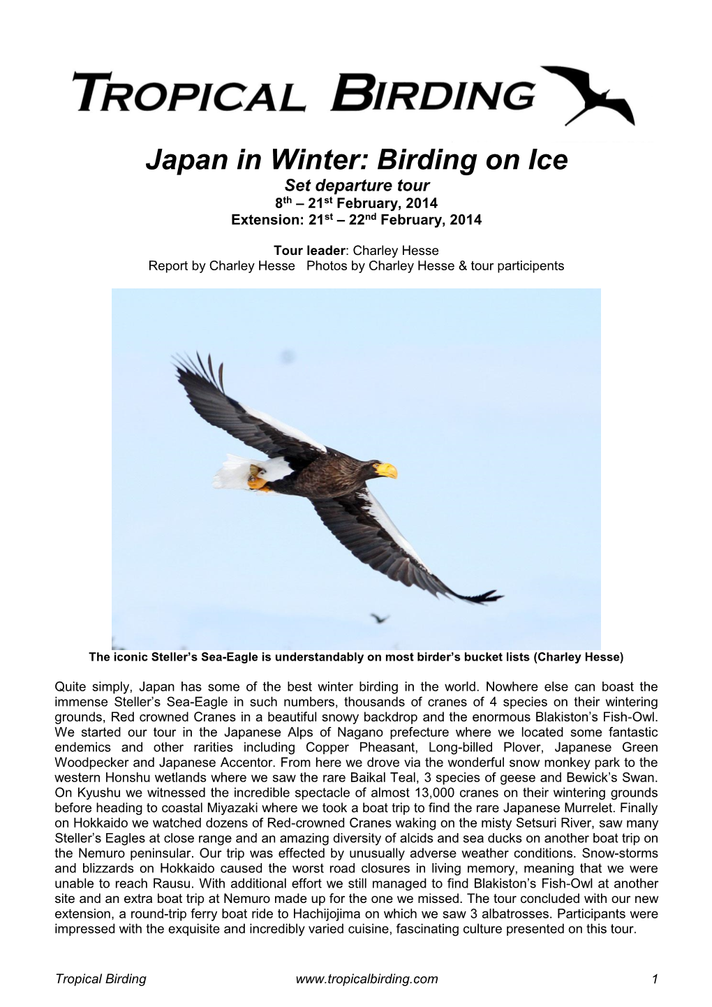 Japan in Winter: Birding on Ice Set Departure Tour 8Th – 21St February, 2014 Extension: 21St – 22Nd February, 2014