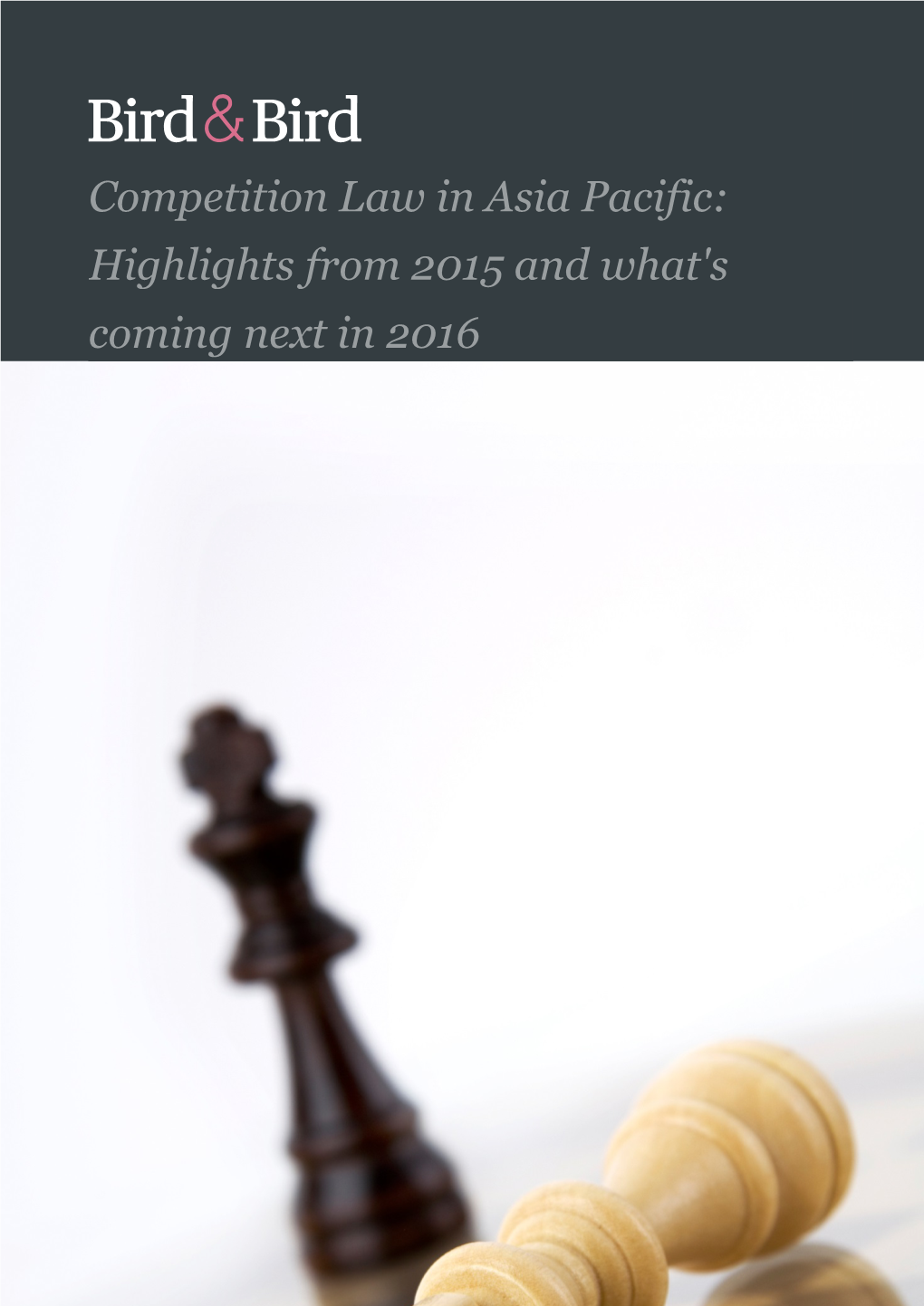 Competition Law in Asia Pacific: Highlights from 2015 and What's Coming Next in 2016