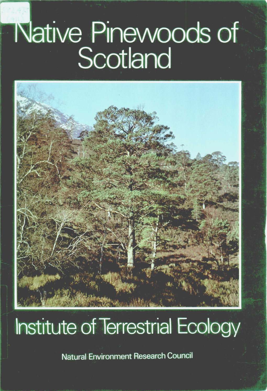 Ative Pinewoods of Scotland