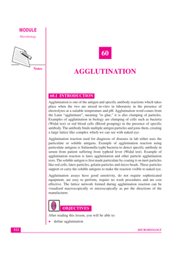 Lesson 60. Agglutination