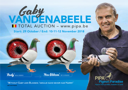 TOTAL AUCTION – TOTAL AUCTION ORGANISED by PIPA Start: 29 October / End: 10-11-12 November 2018