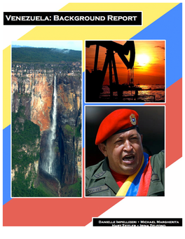 Background Report Venezuela.Pdf