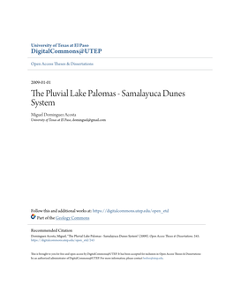 The Pluvial Lake Palomas – Samalayuca Dunes System