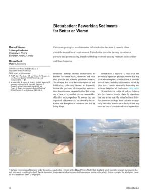 Bioturbation: Reworking Sediments for Better Or Worse