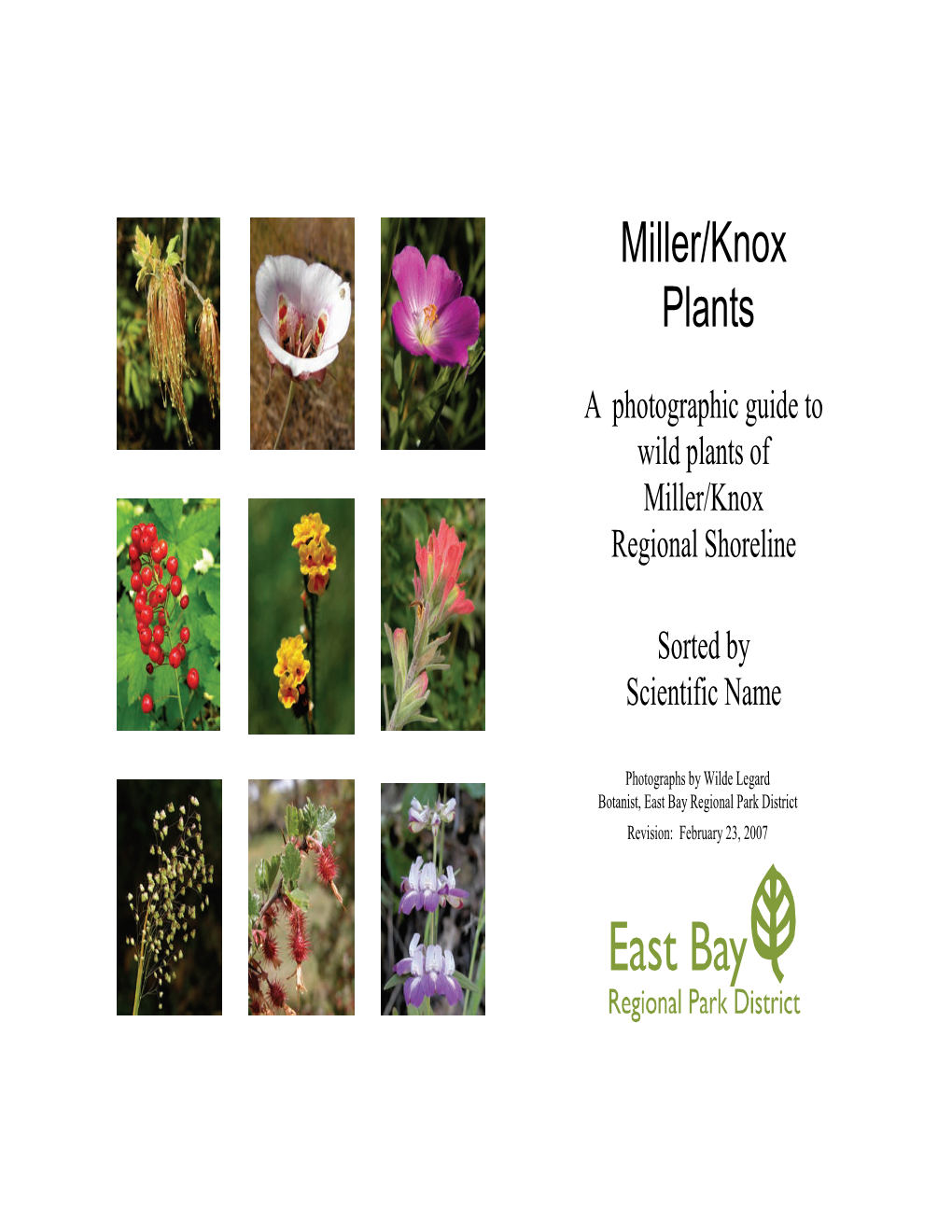 A Photographic Guide to Wild Plants of Miller/Knox Regional Shoreline Sorted by Scientific Name