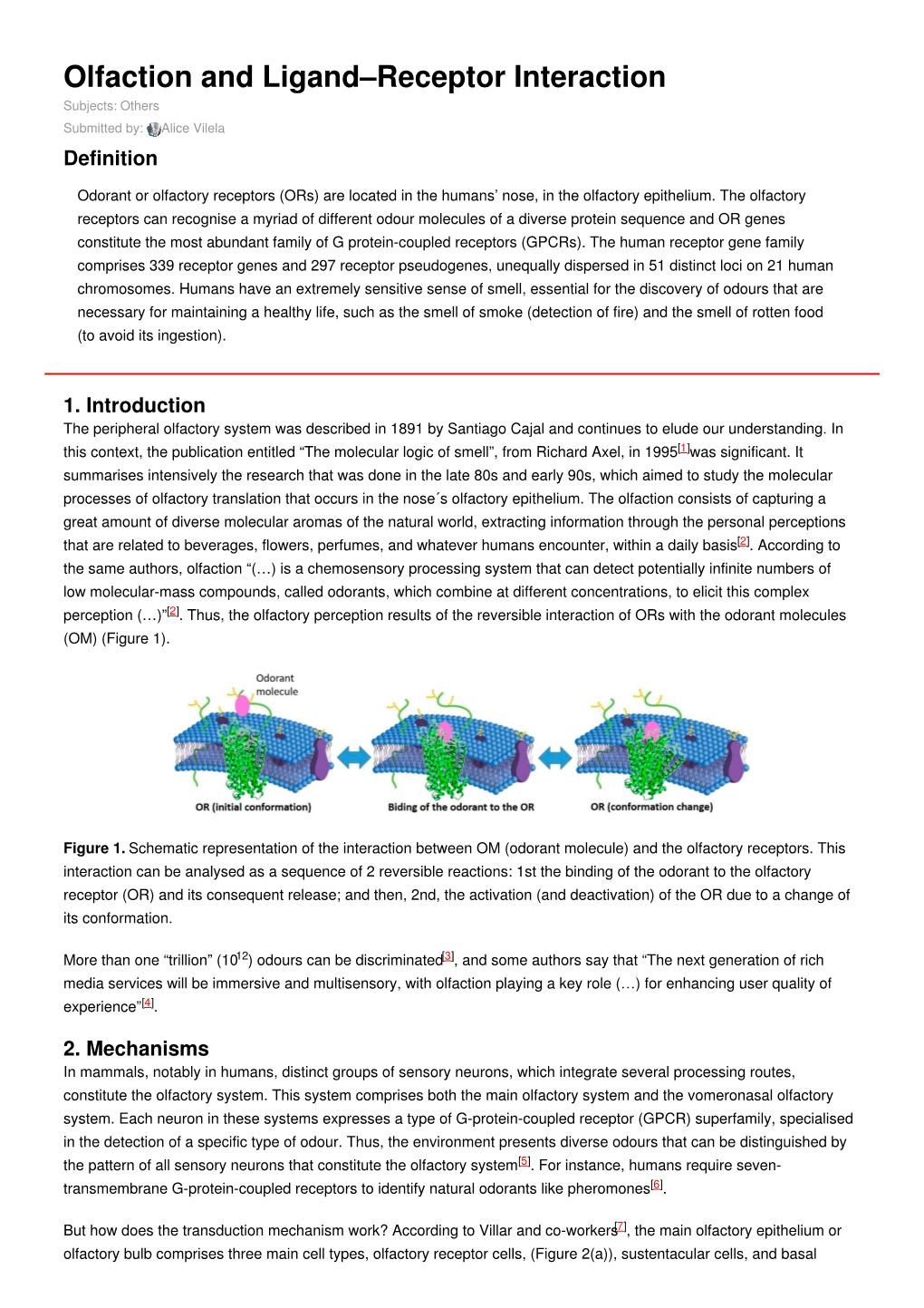 Olfaction and Ligand–Receptor Interaction | Encyclopedia