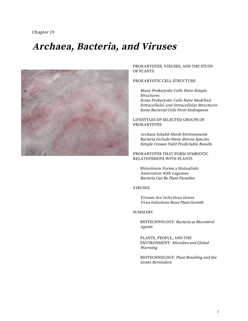 Archaea, Bacteria, and Viruses