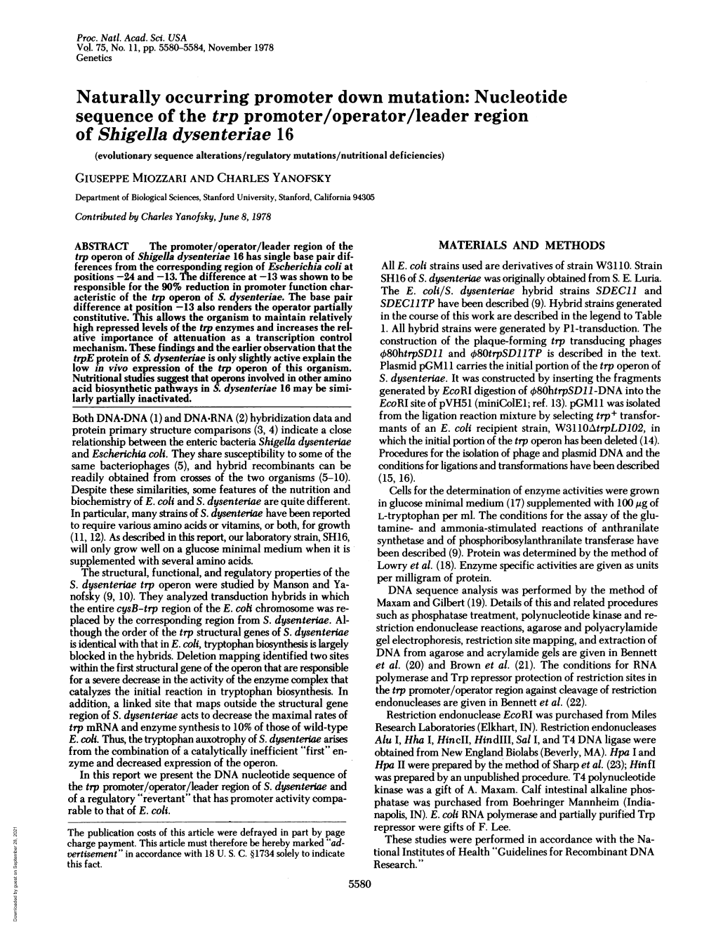 Nucleotide Sequence of the Trp Promoter/Operator/Leader Region of Shigella Dysenteri