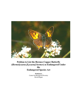 Petition to List the Hermes Copper Butterfly (Hermelycaena [Lycaena] Hermes) As Endangered Under the Endangered Species Act