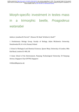 Morph-Specific Investment in Testes Mass in a Trimorphic Beetle
