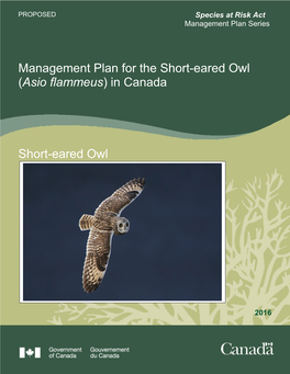 Management Plan for the Short-Eared Owl (Asio Flammeus) in Canada