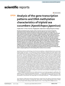 Analysis of the Gene Transcription Patterns and DNA
