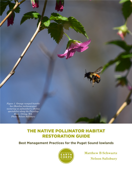 THE NATIVE POLLINATOR HABITAT RESTORATION GUIDE Best Management Practices for the Puget Sound Lowlands