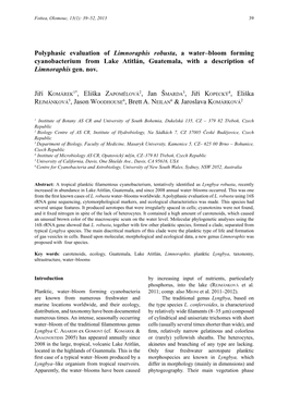 Polyphasic Evaluation of Limnoraphis Robusta, a Water–Bloom Forming Cyanobacterium from Lake Atitlán, Guatemala, with a Description of Limnoraphis Gen