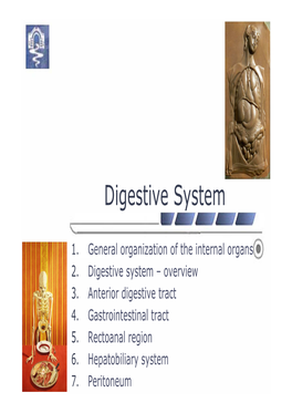 Digestive System PDF