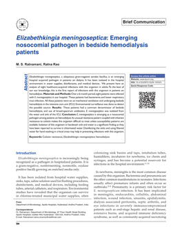 Elizabethkingia Meningoseptica: Emerging Nosocomial Pathogen in Bedside Hemodialysis Patients