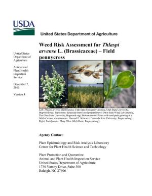 Weed Risk Assessment for Thlaspi Arvense L. (Brassicaceae) – Field Pennycress