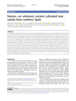 Narcea—An Unknown, Ancient Cultivated Rose Variety from Northern