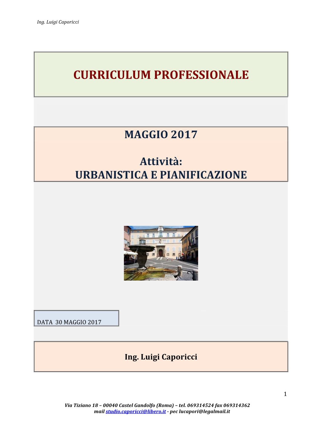 Curriculum Professionale