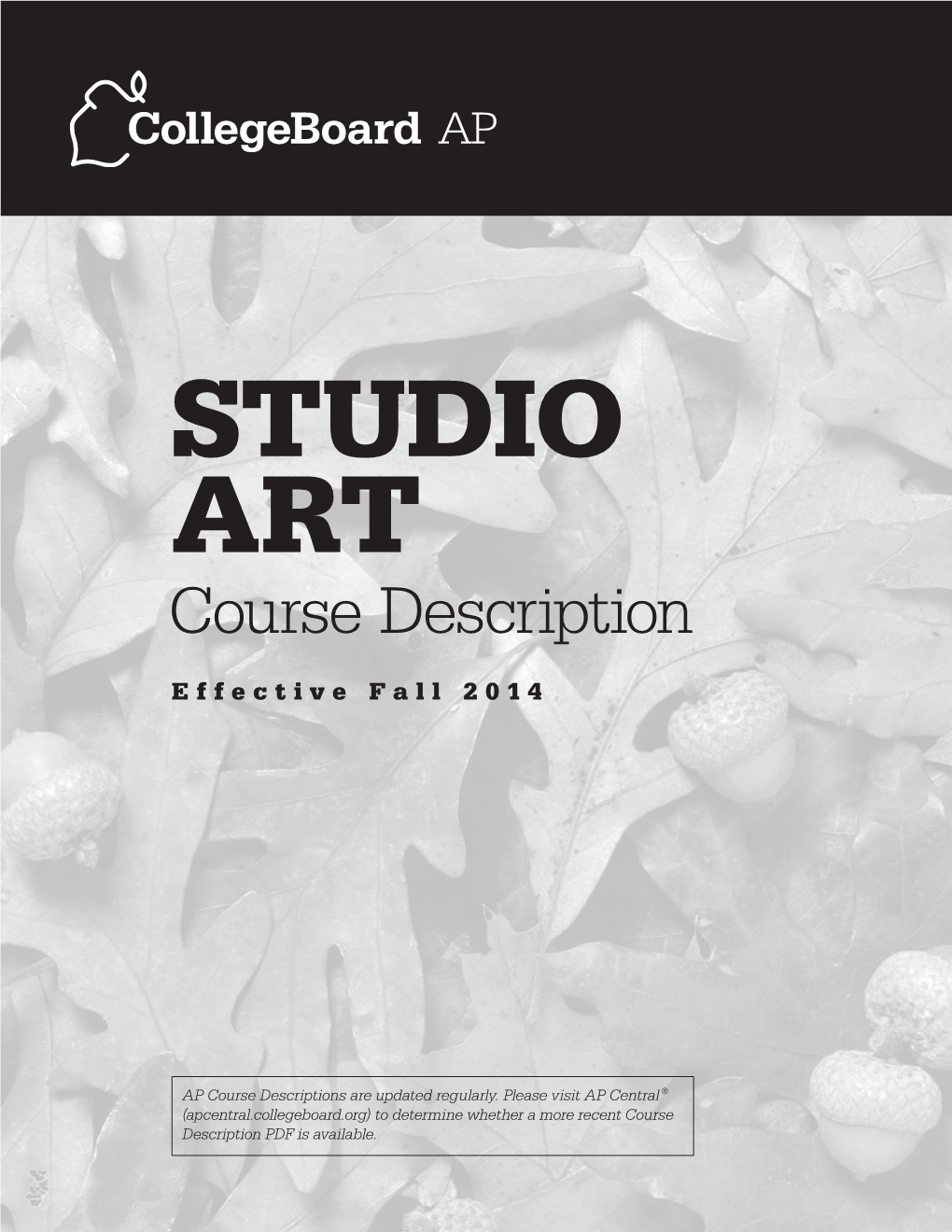 AP Studio Art Course Description