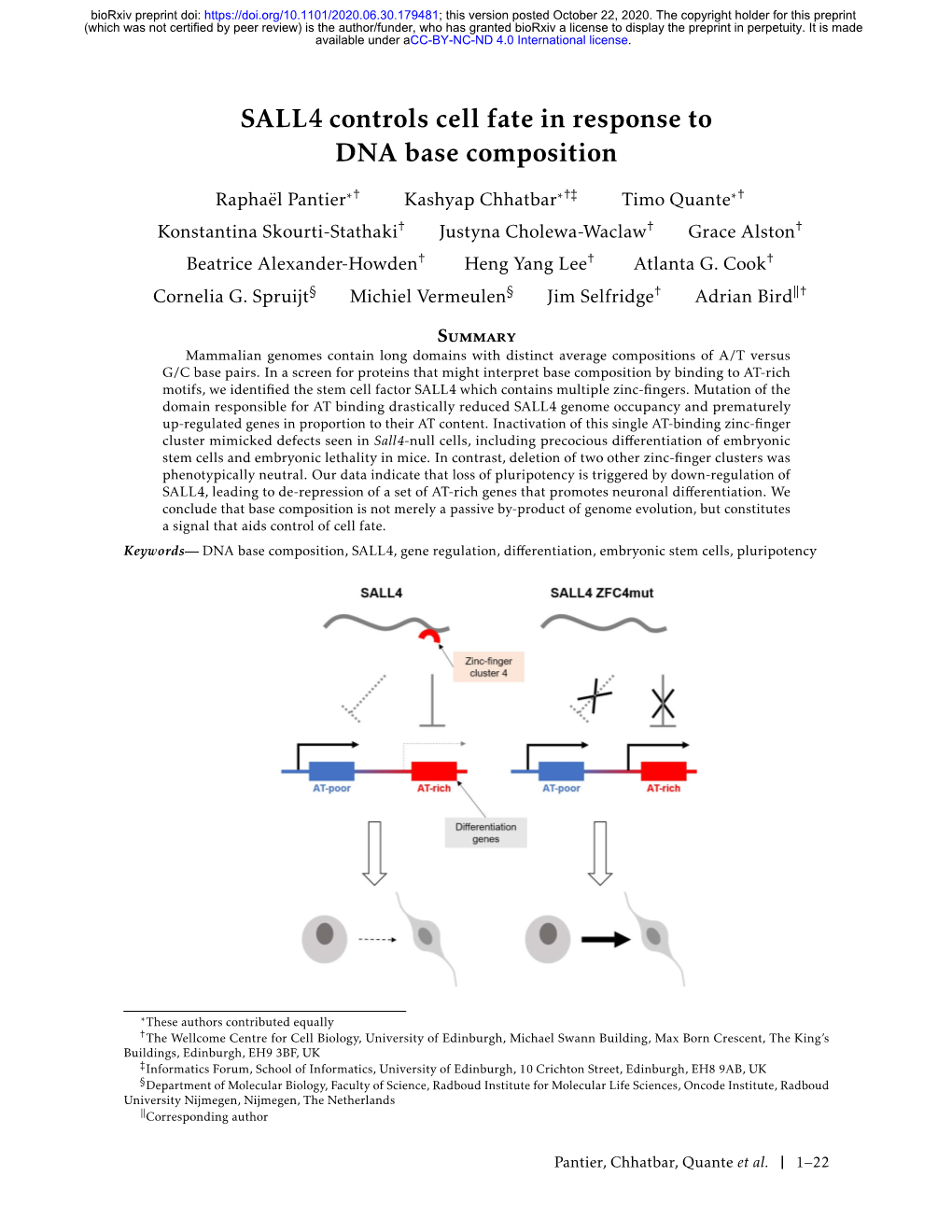 SALL4 Controls Cell Fate in Response to DNA Base Composition