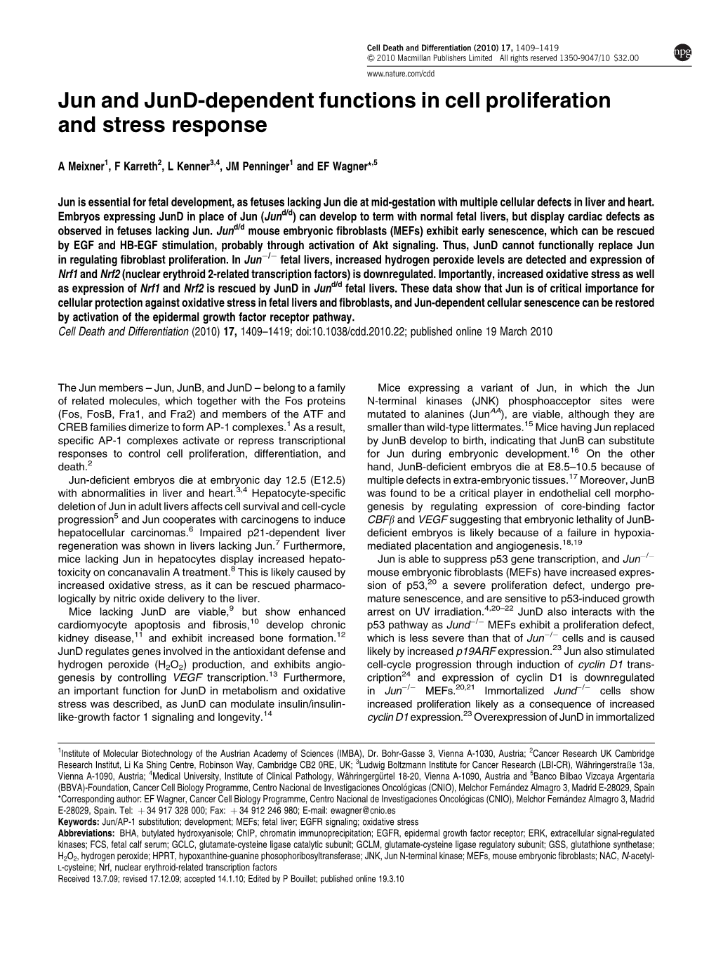 Jun and Jund-Dependent Functions in Cell Proliferation and Stress Response