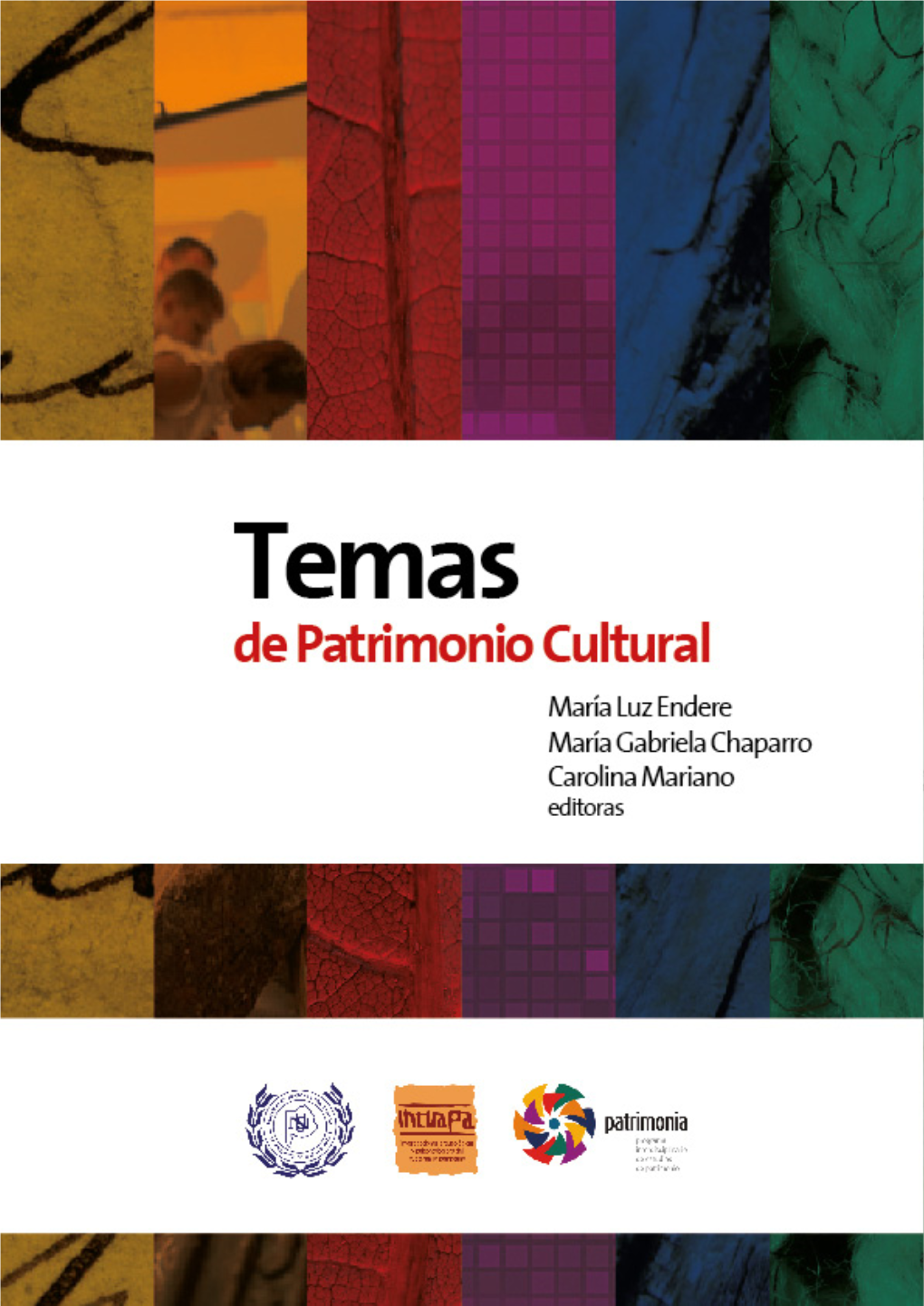 Temas De Patrimonio Cultural: Libro De Texto Universitario