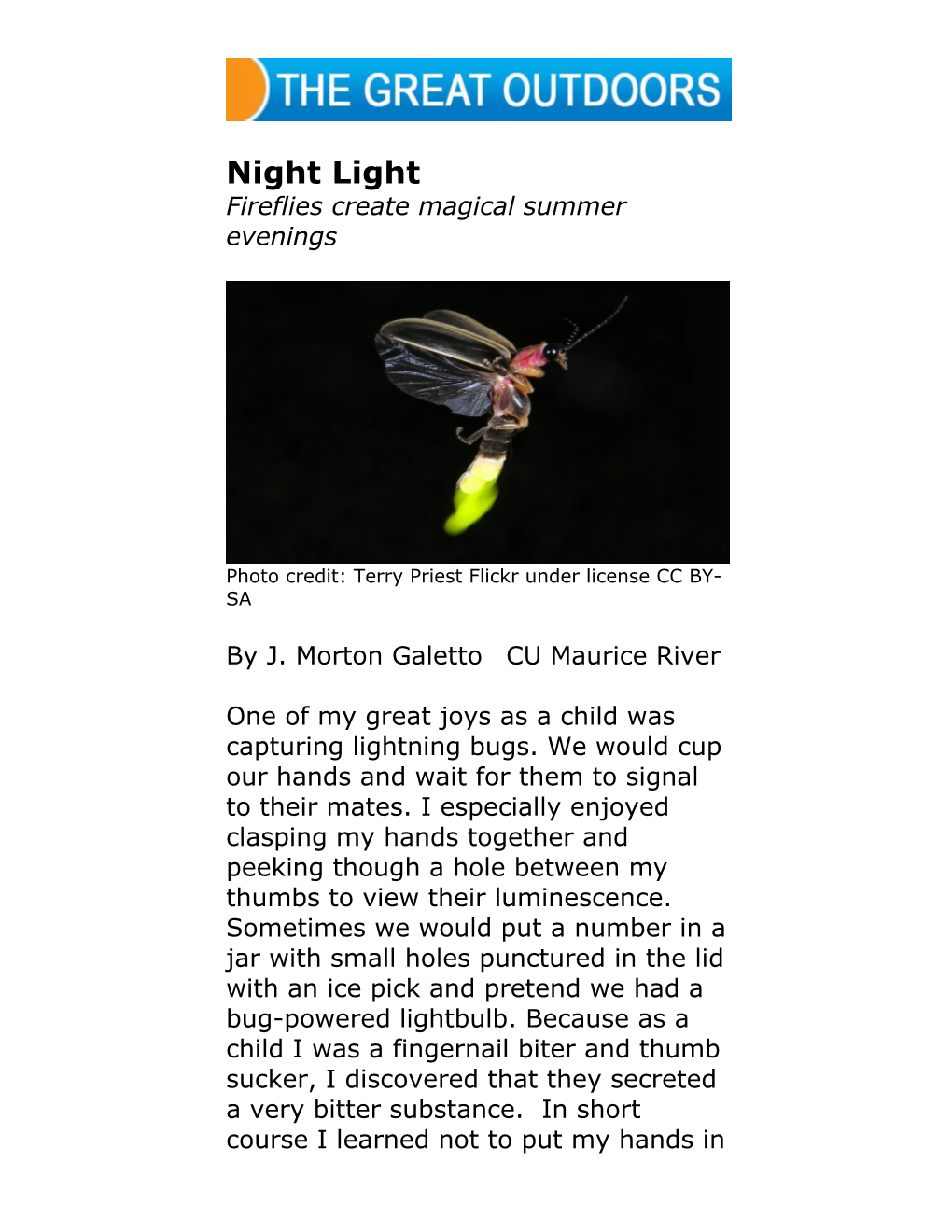 Lightning Bugs