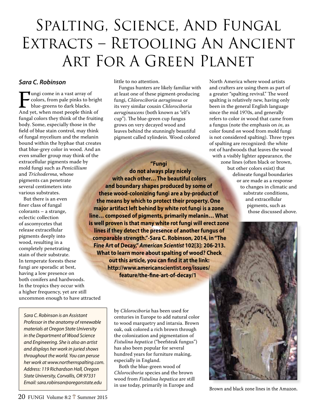 Spalting, Science, and Fungal Extracts – Retooling an Ancient Art for a Green Planet