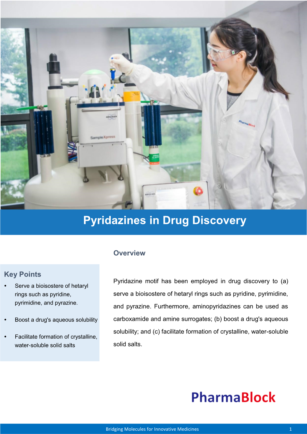 Pyridazines in Drug Discovery