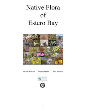 Native Flora of Estero Bay