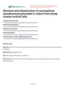 Structure and Ultrastructure of Neurospheres Spontaneously Generated in Culture from Sheep Ovarian Cortical Cells